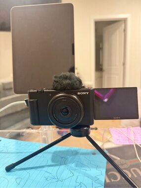 Sony Black Compact Digital Camera with Flip Screen